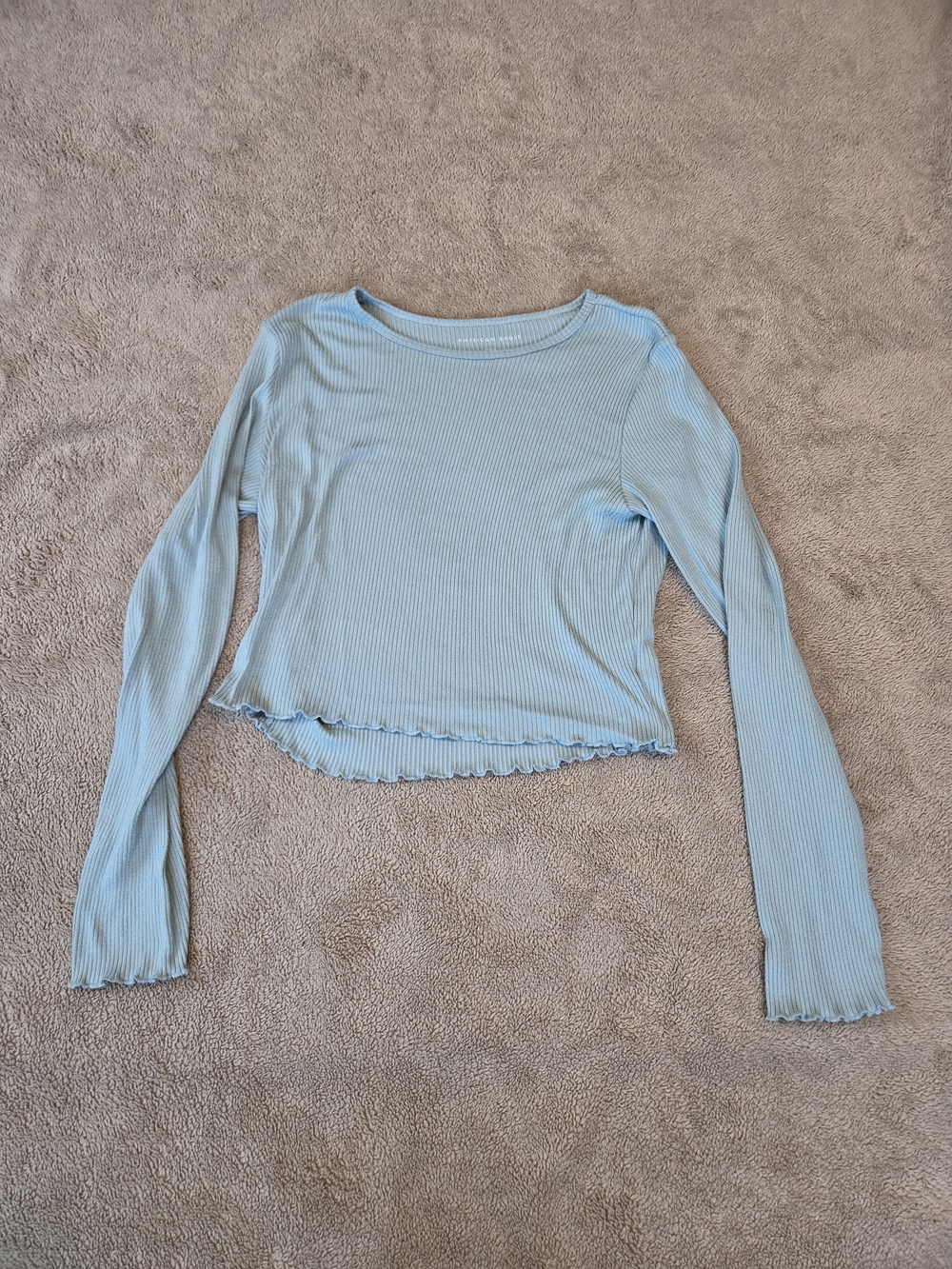 American Eagle Outfitters Light Blue Ribbed Long-Sleeve Crop Top